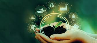 Environment Projects