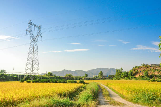 Electrical Infrastructure